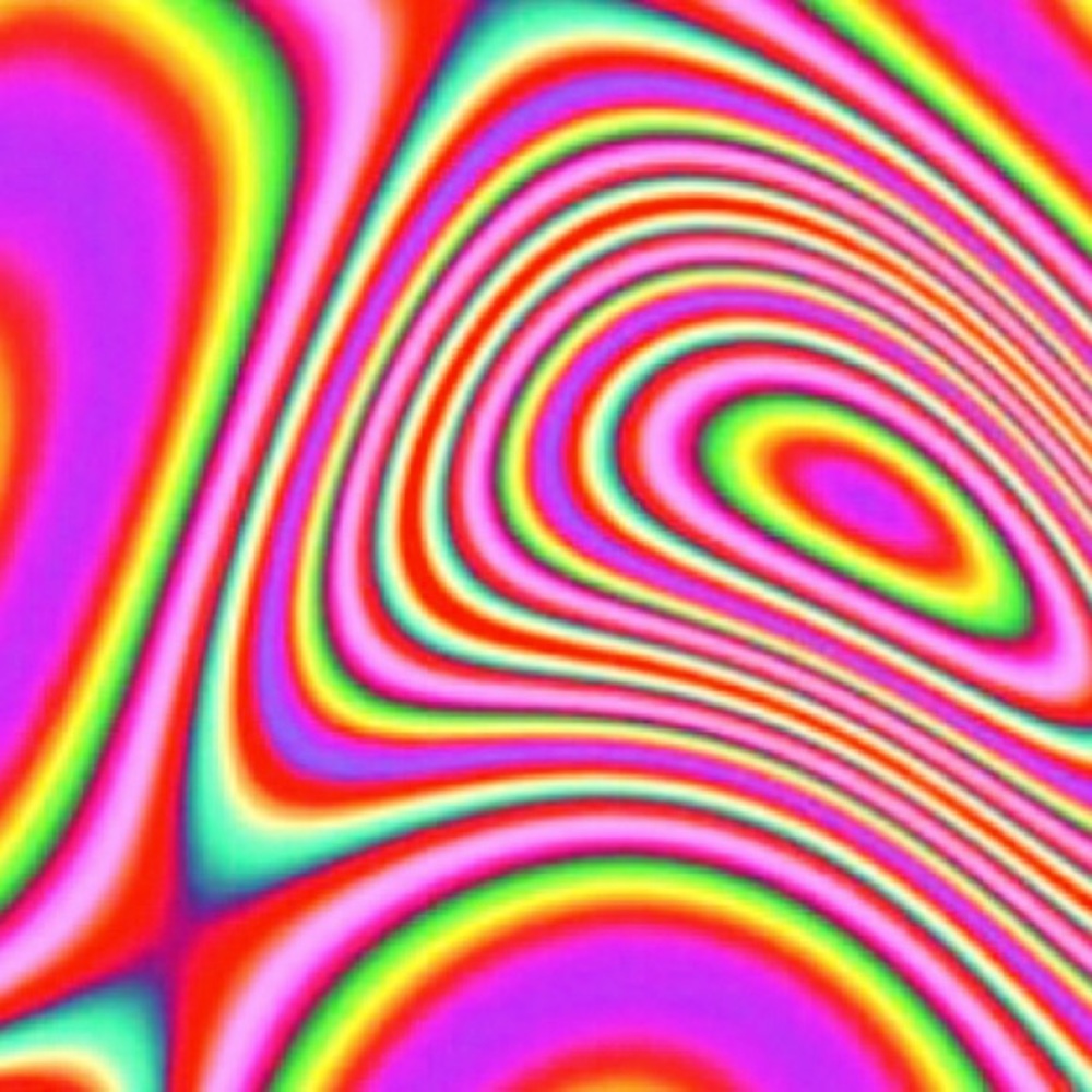 Meet your Posher, Lillian